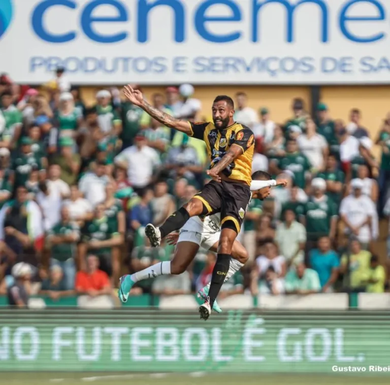 Imagem do WhatsApp de 2024-09-16 à(s) 08.42.37_ab7a1978 1 copiar
