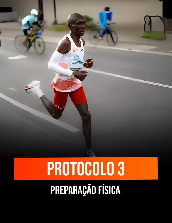 p3 (1)