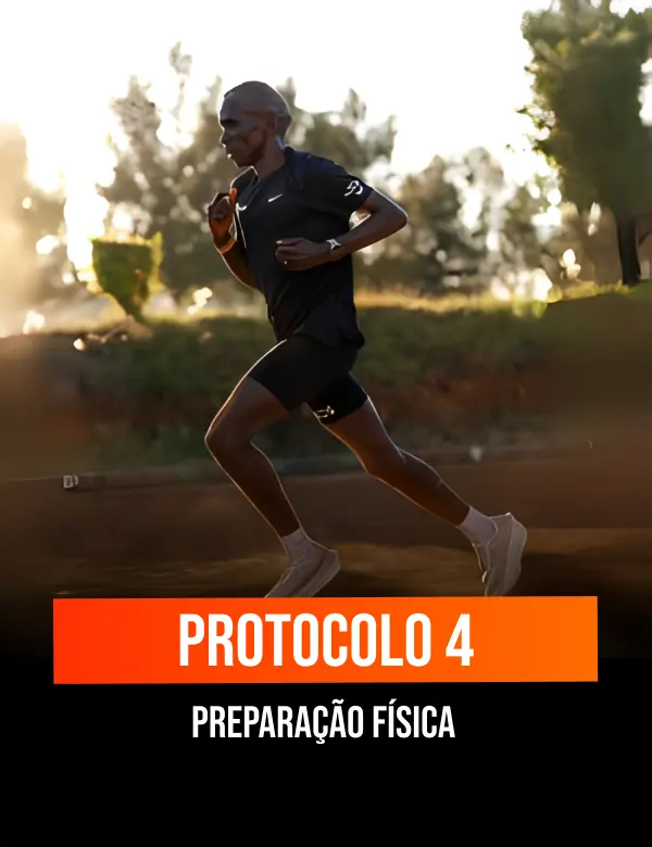 p4 (1)