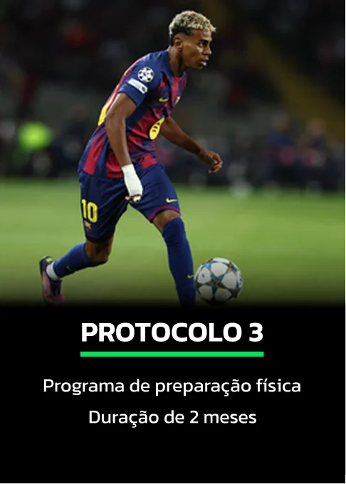 protocolo3