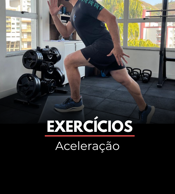 Exercícios (12)