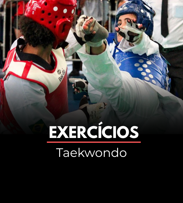 Exercícios (19)