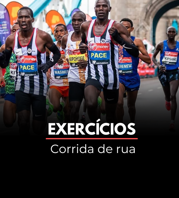 Exercícios (23)